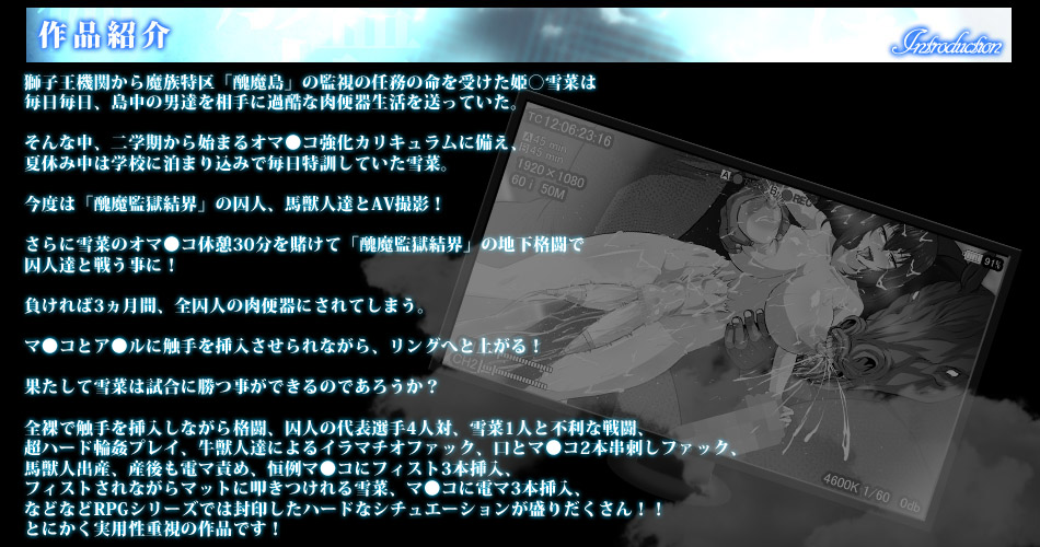 作品内容